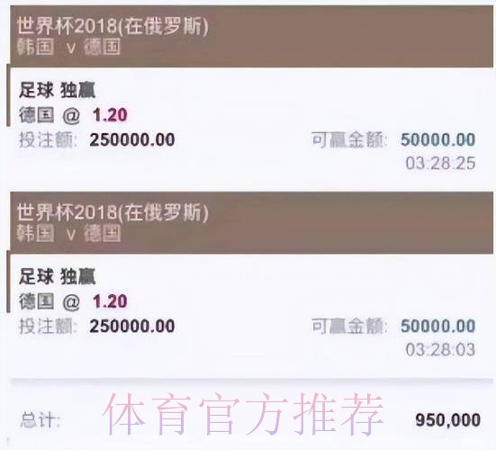 全面解析:世界杯买球平台的安全性与风险因素 全面解析:世界杯买球平台的安全性与风险因素